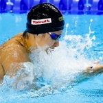 　女子５０メートル平泳ぎ予選　力泳する鈴木聡美＝シンガポール（共同）