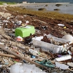 　沖縄県石垣島の海岸にたまった大量のプラスチックごみ＝２０２１年１１月