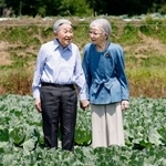 　大日向開拓地のキャベツ畑を散策される上皇ご夫妻＝２３日午前、長野県軽井沢町