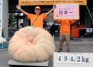 　「日本一どでカボチャ大会」で優勝した鈴木貞一さん＝１４日、香川県・小豆島