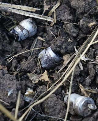 　ウクライナ東部イジュム郊外カミヤンカ村で見つかった、クラスター弾の子爆弾とみられる残骸