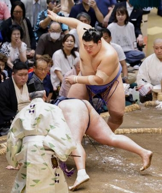 　大の里（上）が突き落としで玉鷲を下す＝両国国技館