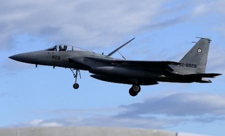 　航空自衛隊のＦ１５戦闘機＝２０２４年１０月、宮崎県新富町の空自新田原基地