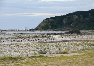 　能登半島地震で隆起した石川県輪島市の黒島海岸＝２４年８月