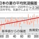 　日本の夏の平均気温偏差