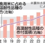 　主食用米に占める高温耐性品種の割合と作付面積