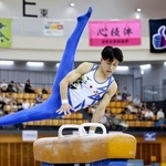 　あん馬で優勝した石沢大翔＝エスフォルタアリーナ八王子