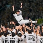 　プロ野球セ・リーグで２年ぶり７度目の優勝を決め、胴上げされる阪神・藤川球児監督。１９９０年の巨人の９月８日を抜き、両リーグで史上最速の優勝決定となった＝７日、甲子園球場