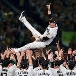　プロ野球セ・リーグで２年ぶり７度目の優勝を決め、胴上げされる阪神・藤川球児監督。１９９０年の巨人の９月８日を抜き、両リーグで史上最速の優勝決定となった＝７日、甲子園球場