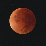 　愛知県清須市で見られた皆既月食＝８日午前３時１２分
