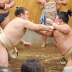 　秋場所に向けて稽古する安青錦（左）と藤ノ川＝東京都江東区の安治川部屋