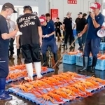 　新湊漁協の卸売市場で行われた、ベニズワイガニの初競り＝１１日午後、富山県射水市