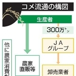 　コメ流通の構図