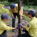 　ヒグマ撮影者らの滞留が目立つイワウベツ川付近に監視カメラを設置する環境省職員＝１２日午後、北海道斜里町