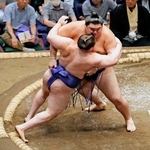 　大の里が寄り倒しで安青錦を下す＝両国国技館