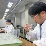 　清酒の風味を確認する大阪国税局の職員ら＝１８日午後、大阪市中央区