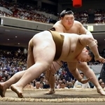 　大の里（奥）が突き落としで王鵬を下す＝両国国技館