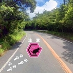 　運転手にケナガネズミへの注意を促す路面デザインのイメージ