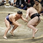 　豊昇龍（左）が押し出しで豪ノ山を下す＝両国国技館
