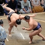 　豊昇龍（右）がすくい投げで若元春を下す＝両国国技館