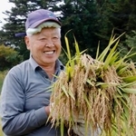 　福島県飯舘村長泥地区で稲を刈り、笑顔を見せる庄司喜一さん＝２４日午前