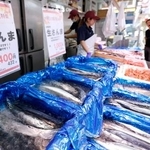 　東京都品川区の鮮魚店「中與（なかよ）商店」に並ぶサンマ。今年のサンマ漁は昨年の２倍を超える水準で好調な水揚げが続き、記録的な不漁だった２０２２年の年間総量の１万８千トンを既に上回った＝２５日午前