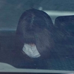 　送検される平菜々美容疑者＝２７日午後１時５分、和歌山東署