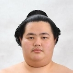 　琴桜