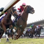 　第５９回スプリンターズステークスを制した三浦皇成騎乗のウインカーネリアン（手前右）＝中山競馬場