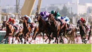 　優勝したフランス馬のダリズ（中央右）。左端は日本馬で５着のビザンチンドリーム。右端は日本馬で１４着のクロワデュノール＝パリロンシャン競馬場（共同）