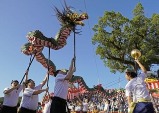 　秋の大祭「長崎くんち」で披露された諏訪町の「龍踊」＝７日午前、長崎市の諏訪神社