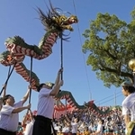 　秋の大祭「長崎くんち」で披露された諏訪町の「龍踊」＝７日午前、長崎市の諏訪神社
