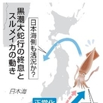 　黒潮大蛇行の終息とスルメイカの動き