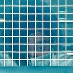 　送検のため埼玉県警西入間署を出る木村斗哉容疑者＝１６日午前８時１分