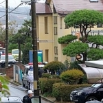 　入り込んだクマが出てきていない、秋田市中心部の住宅周辺＝１６日午前１０時５４分