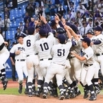 　４４度目の優勝を果たし、喜ぶ明大ナイン＝神宮