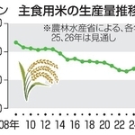 　主食用米の生産量推移