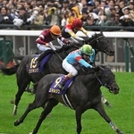 　第８６回菊花賞を制したエネルジコ（手前）。中央は２着のエリキング＝京都競馬場