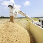 　収穫されたコメ＝８月、千葉県多古町