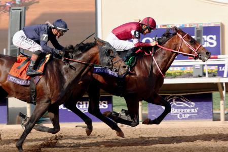 フォーエバーヤング優勝|全国海外|神戸新聞NEXT