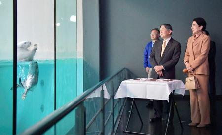 両陛下、鳥羽水族館を視察|全国海外|神戸新聞NEXT