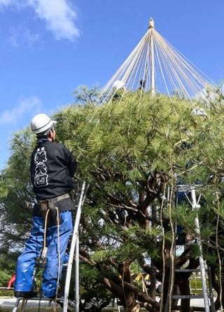 　兼六園で始まった「雪づり」の作業＝１日午前、金沢市