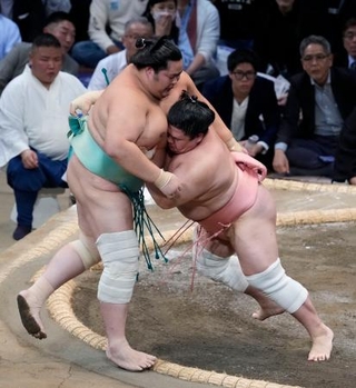 　宇良（右）が寄り切りで琴桜を破る＝福岡国際センター