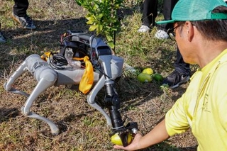 　収穫の実証作業で、農家の男性からレモンを手渡される犬型ロボット＝１４日、岡山県浅口市