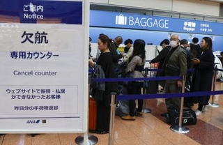 　国内線で欠航が発生し、全日空のカウンターに並ぶ人たち＝２９日午後０時４９分、羽田空港