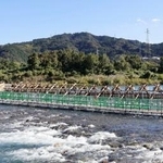 　宮崎県延岡市を流れる大瀬川に架設された「鮎やな」＝１０月