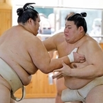 　二所ノ関一門の連合稽古で、琴桜（左）と相撲を取る大の里＝福岡市