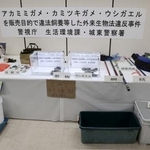 　押収された捕獲道具やウシガエルなど＝４日午前、警視庁城東署