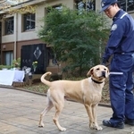 　東京税関麻薬探知犬訓練センター室が開いた慰霊祭に参加した探知犬＝５日午前、千葉県成田市