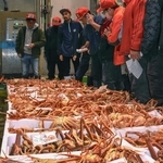 　鳥取県の境港で始まったズワイガニの初競り＝７日早朝